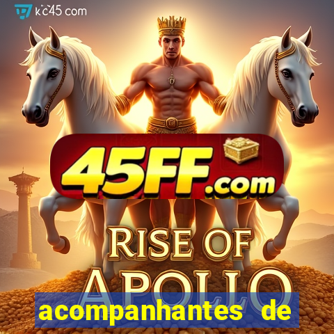 acompanhantes de luxo porto feliz